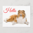 Zoek naar lassie briefkaarten Collie