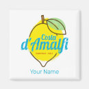 Zoek naar amalfi kust magneten Vintage