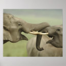 Zoek naar indische olifant kunst Azie