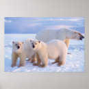 Zoek naar kust posters Moeder