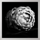 Zoek naar artisjok posters Voedsel