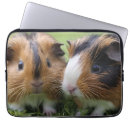 Zoek naar varken laptop sleeves Dier