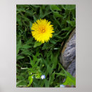 Zoek naar zon bloemen kunst Geel