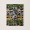 Zoek naar otter puzzels Wild