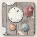 Zoek naar shell onderzetters Zanddollar