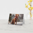 Zoek naar nova scotia duck tolling retriever kaarten Voor iedereen