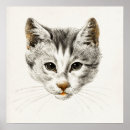 Zoek naar katten afbeeldingen posters Katje