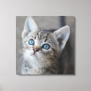 Zoek naar kids fotografie Dieren