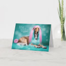 Zoek naar afghaans kaarten Honden