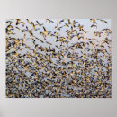 Zoek naar muizen kunst Koppels