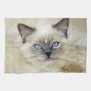 Zoek naar ragdoll keuken handdoeken Schattig