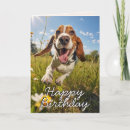 Zoek naar basset hond kaarten Hondenkunst