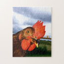 Zoek naar haan puzzels Boerderij