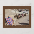 Zoek naar camel briefkaarten Dieren