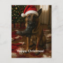 Zoek naar belgische herder briefkaarten Kerstmis