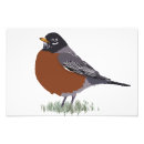 Zoek naar dans tekeningen posters Vogel