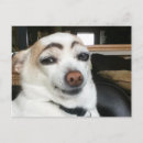 Zoek naar wenkbrauw briefkaarten Voor iedereen