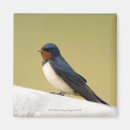 Zoek naar slik magneten Vogel