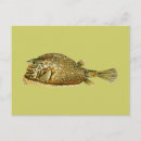 Zoek naar grappige koeien briefkaarten Plezier