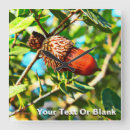 Zoek naar eik klokken Boom