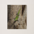 Zoek naar gekko puzzels Gecko