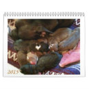 Zoek naar pitbull kalenders Puppies
