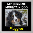 Zoek naar muur posters Creëer je eigen