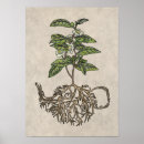 Zoek naar theepot posters Theeliefhebbers