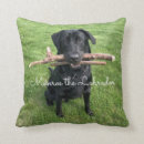 Zoek naar labrador kussens Schattig