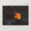 Zoek naar haiku briefkaarten Herfst