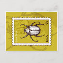 Zoek naar groene kever briefkaarten Entomologie