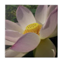 Zoek naar lotus tegels Tuin