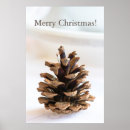 Zoek naar naaldboom posters Cone