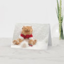 Zoek naar perzische kat kaarten Schattig