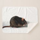 Zoek naar ratten dekens Huisdier
