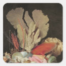 Zoek naar zeewier stickers Schelp