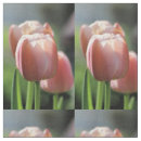Zoek naar tulpen stoffen Roze