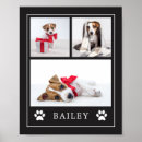 Zoek naar dog paw kunst Voor huisdieren