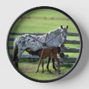 Zoek naar mare klokken Merrie