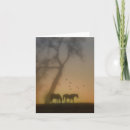 Zoek naar mooi paard kaarten Equine