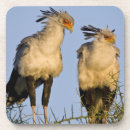 Zoek naar tanzania onderzetters Vogel