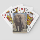 Zoek naar jones speelkaarten Afrikaanse olifant