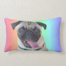 Zoek naar pugs kussens Voor iedereen