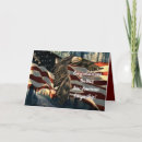 Zoek naar burgerschap kaarten Amerikaanse vlag