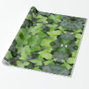 Zoek naar ivy cadeaupapier Plant