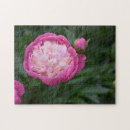 Zoek naar peony puzzels Tuin
