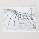 Zoek naar schema briefkaarten Wetenschap