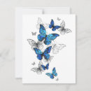 Zoek naar antwoordkaarten Blauw