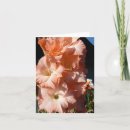 Zoek naar hymn kaarten Groet