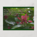 Zoek naar positieve houding briefkaarten Citaten